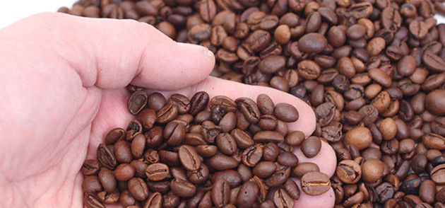 open hand with coffee beans